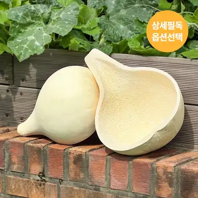 Thedam Luck Purification Gourd Breaking Bottle Gourd (For Breaking - Moving, Business Opening, Bad Luck Cleansing, Wedding, Housewarming Ceremony)