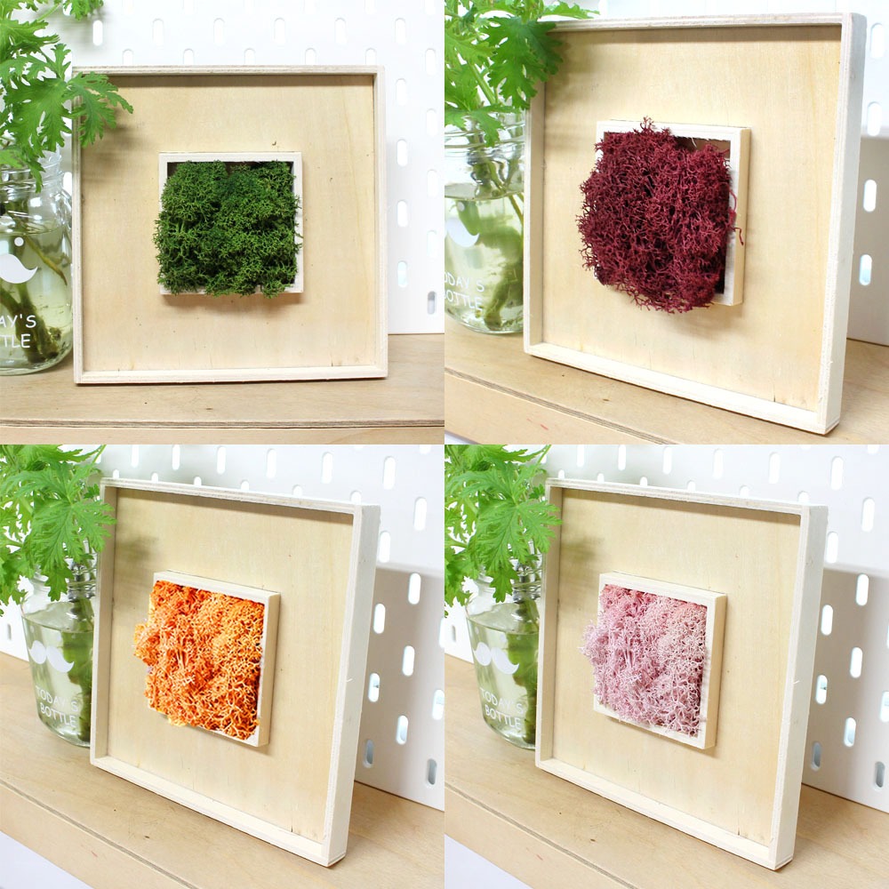 Moss Moss Framed Art (3D Frame Grass Terrarium Humidity Removal Air Purification Plant Natural Moss DIY Art Play)