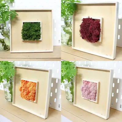 Moss Moss Framed Art (3D Frame Grass Terrarium Humidity Removal Air Purification Plant Natural Moss DIY Art Play)