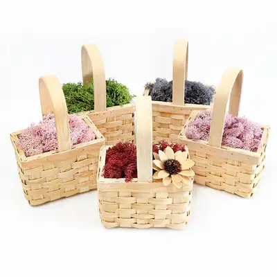 Moss Planter Rectangular Wood Basket (Photo Zone Terrarium Moisture Control Air Purification Natural Moss DIY)