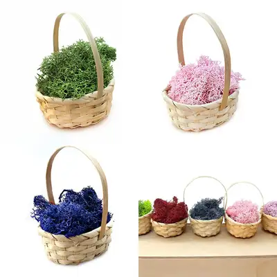 Moss Terrarium Bamboo Mini Basket (Grass Terrarium Moisture Remover Air Purifying Plant Natural Moss DIY)