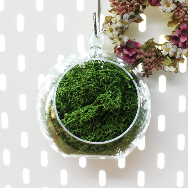 12cm Green Moss Hanging Ball Planter | Natural Moss Ceiling Decoration