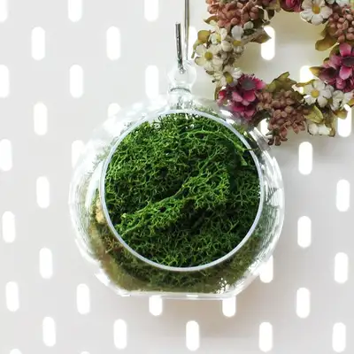 12cm グリーンモスコケ吊り玉 l 天然苔天井装飾