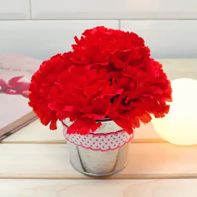 Carnation Flower Pot Making Kit | Teacher's Day Mother's Day Artificial Flower