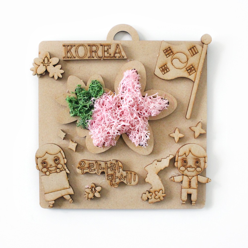 Korea Moss Frame DIY Kit | Natural Moss Air Purification