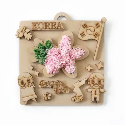 Korea Moss Frame DIY Kit | Natural Moss Air Purification