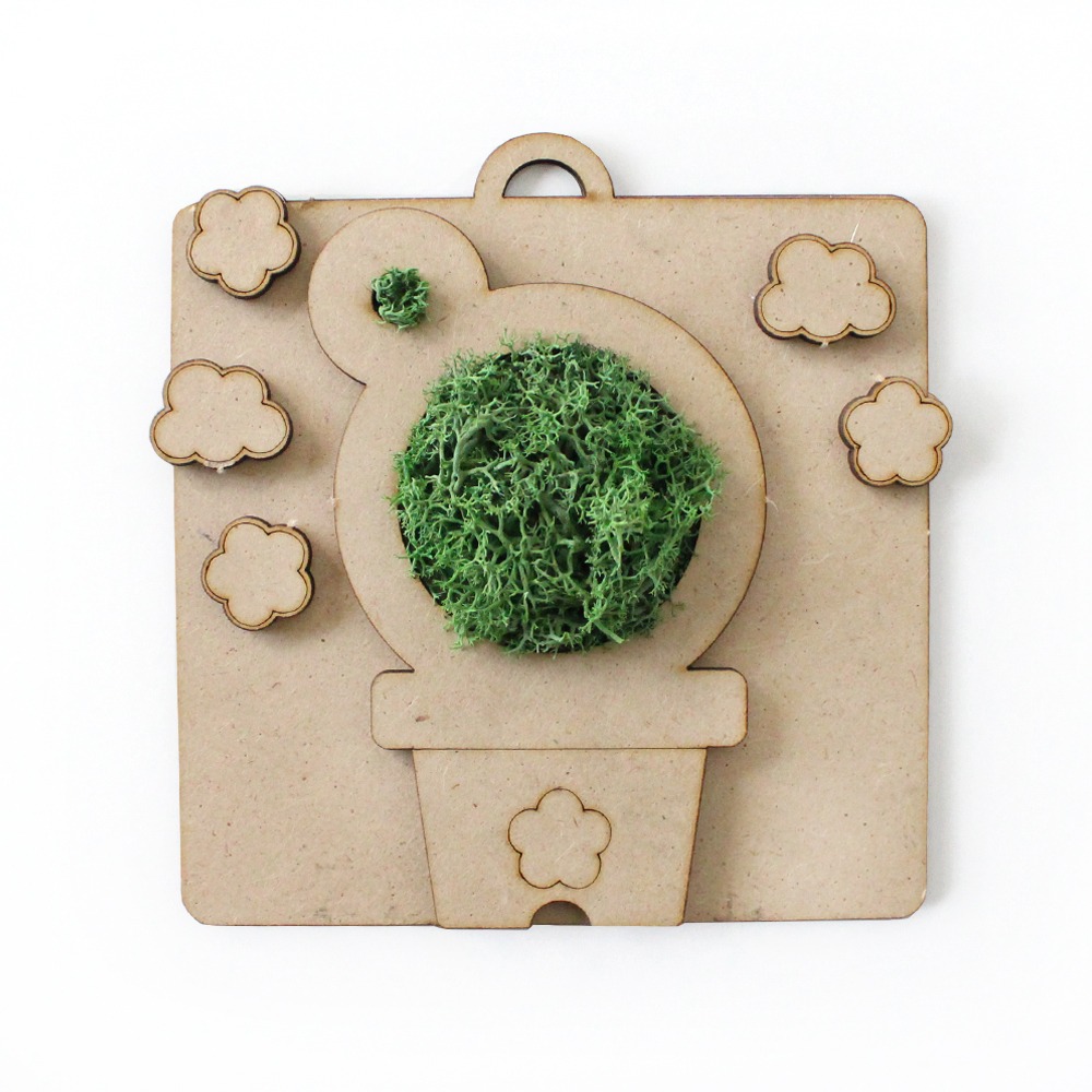 Cactus & Moss Wall Frame DIY Kit | Air-Purifying Plant