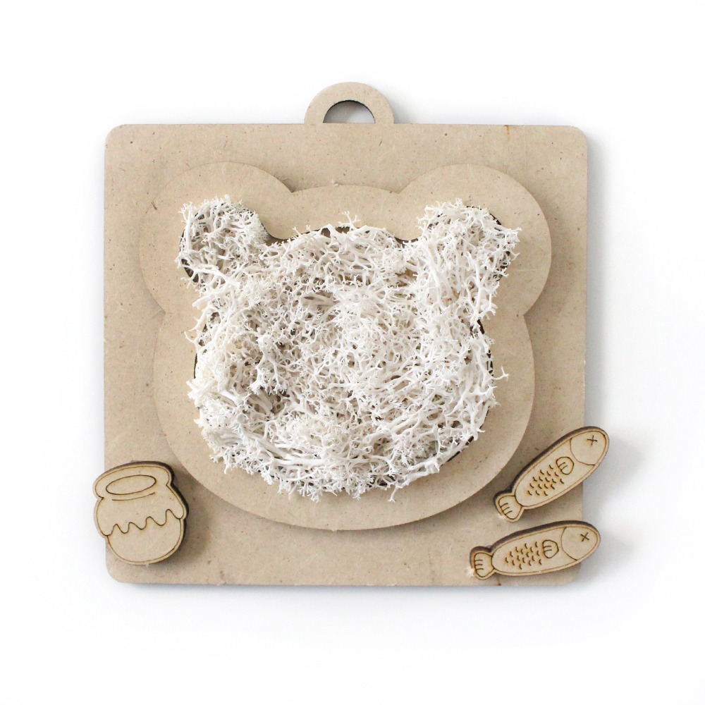 Bear-Shaped Moss Frame DIY Kit | Air-Purifying Plant