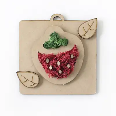 Strawberry Moss Frame DIY Kit | Air-Purifying Moss
