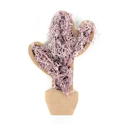 Soft Purple Moss Cactus DIY Kit | Natural Moss