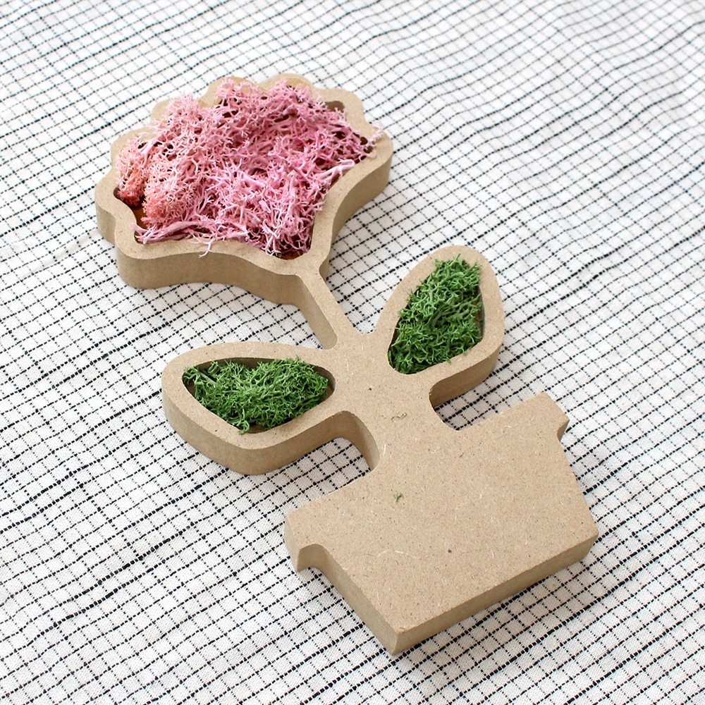 Pink Carnation Moss Terrarium DIY Kit (1 Set)