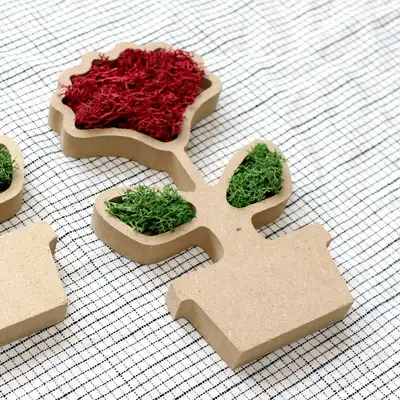 Red Carnation Moss Craft Kit - 1 Set (Family Month, Parent's Day, Teacher's Day DIY Planter Moss Kit)