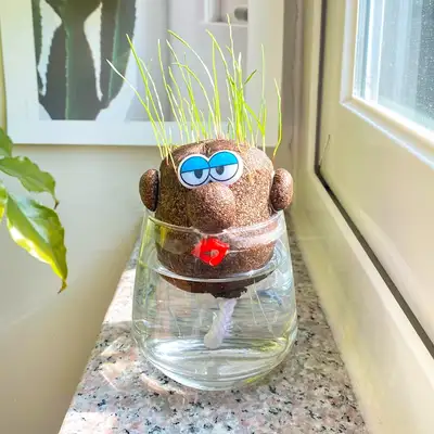 Grass Figure Growing Kit | Topiary Making Plant DIY