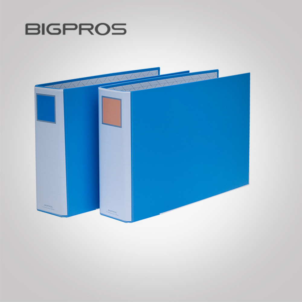 Big Fros A4 9cm 2-Hole Pipe File P219