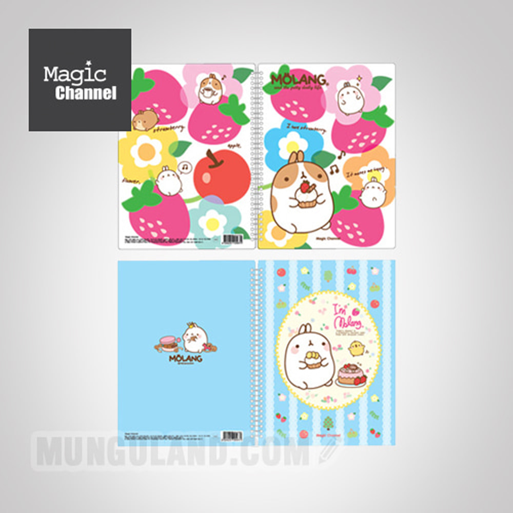 Molang Twin Ring Clear File 40 Pockets