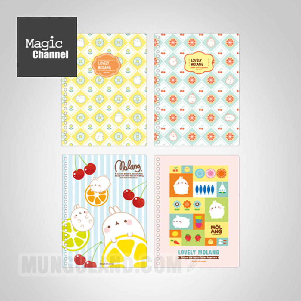 Mollang PP Notebook
