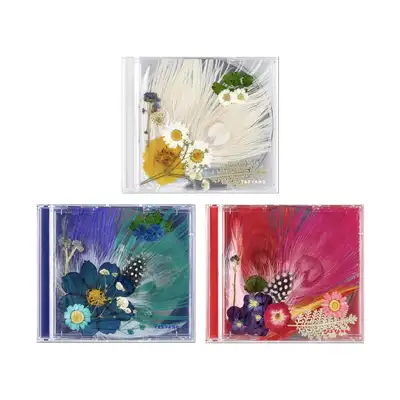 TAEYANG 3RD ALBUM X WHITE NIGHT