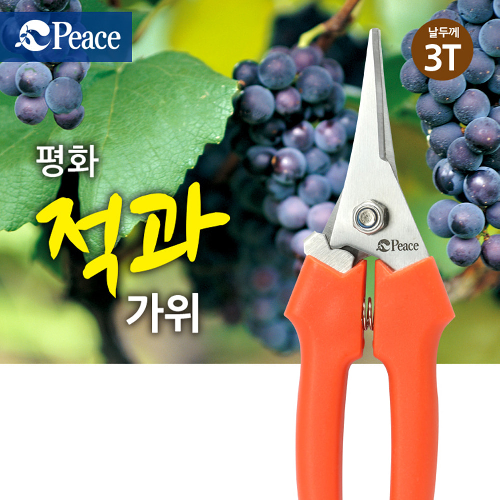 Red and Scissors
