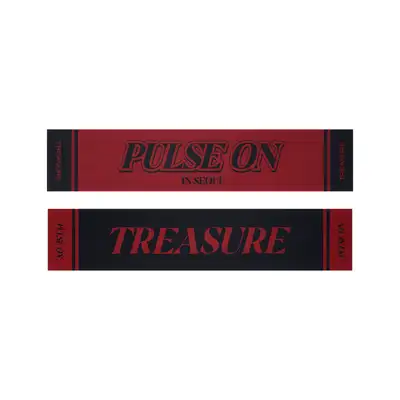 [パルスオンソウル] TREASURE TOUR スローガンタオル