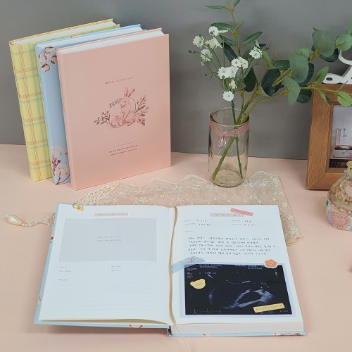 O-CHECK Hello Little One Prenatal Diary (Expecting Mom Parenting Journal Ultrasound)