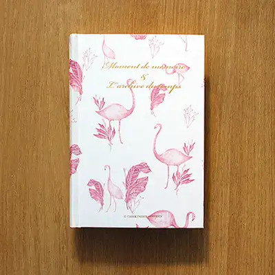 欧切 每日日记 flamingo 火烈鸟（万年型）