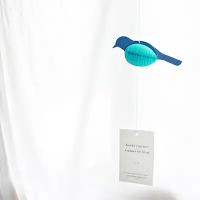 O-CHECK 蜜蜂窝蓝鸟卡 MOBILE CARD BLUE BIRD