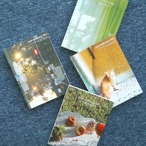 O-Check Ordinary Monthly Perpetual Diary