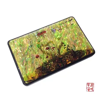 韩国外接硬盘500G [草虫图]
