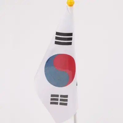 手绘太极旗