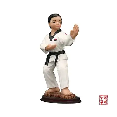 手办单品[跆拳道-手刀防守]