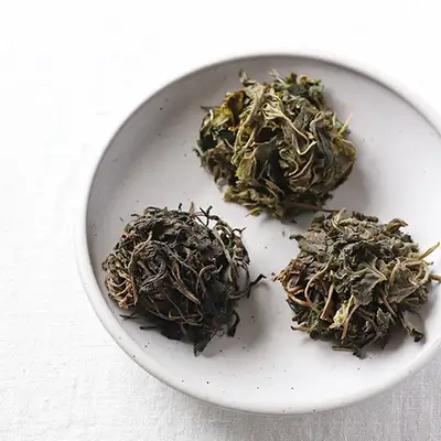 香氣山菜精選3種組合(黃蜂菜、蕨菜、蕨根菜)