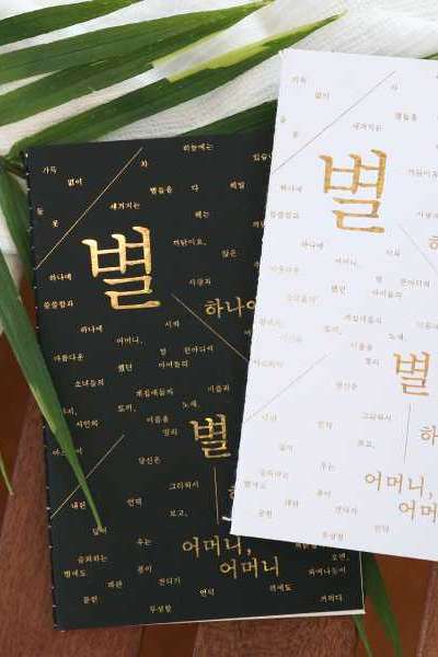 Counting the Stars Hologram Notebook