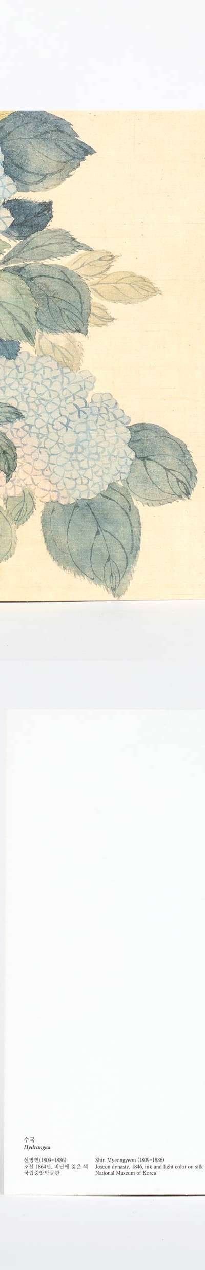 Postcard (Hydrangea) - National Museum of Korea Exclusive