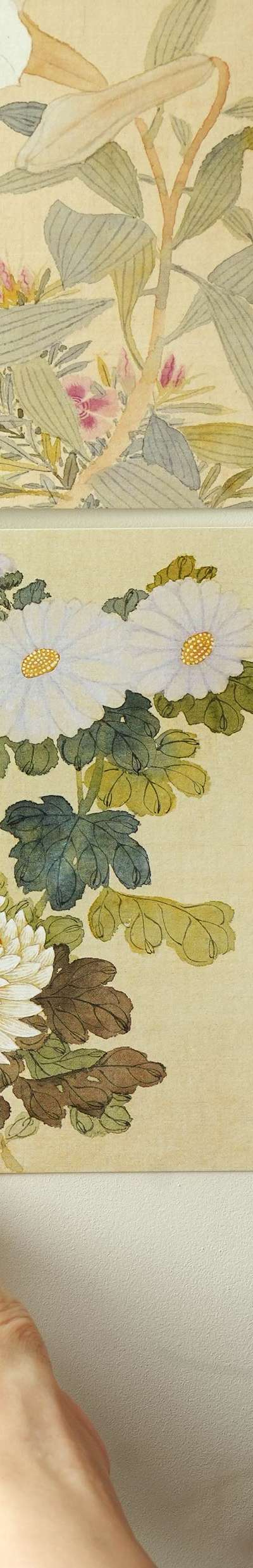 Postcard (Chrysanthemum) National Museum of Korea Specialty Product