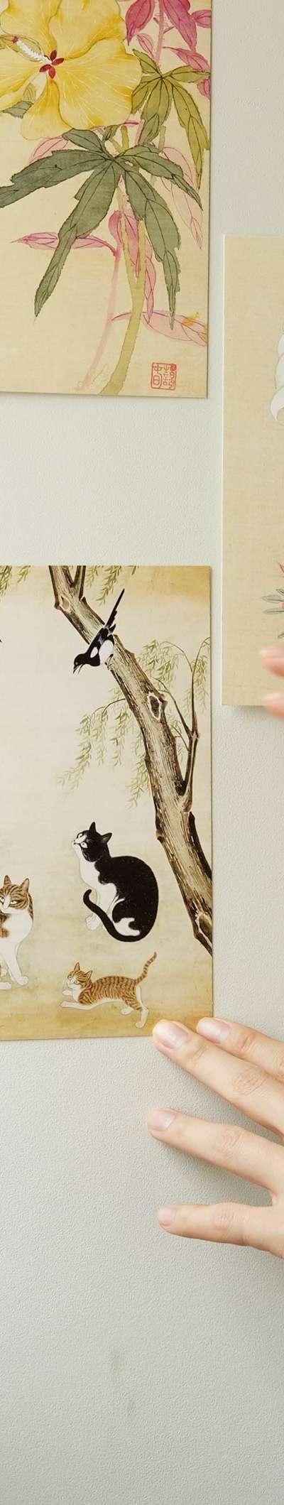 Postcard (Cat) - National Museum of Korea Exclusive Product