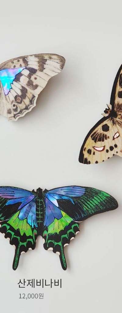 Mother-of-Pearl Butterfly Magnet [Lacquerware of East Asia] – National Museum of Korea Special Exhibition