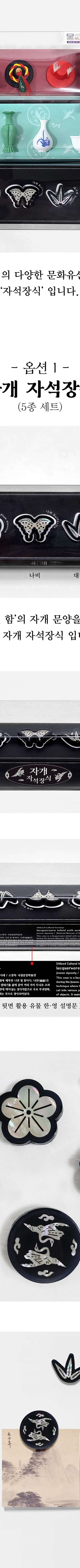 Magnetic Decoration <2024 Muses Contest Selected Work>