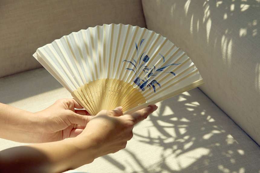 Fabric Fan (White Porcelain Blue and White Floral Design)