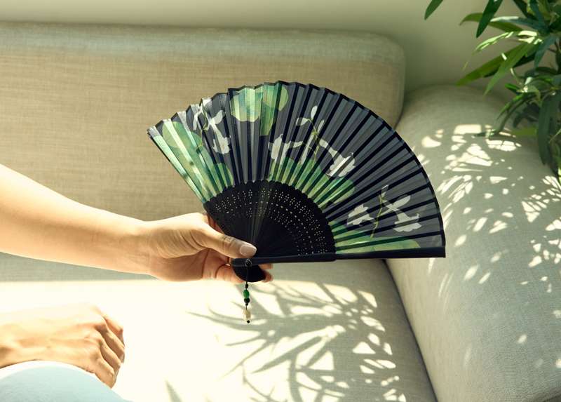 Fabric Fan (Flower and Bird Painting - Day Lily)