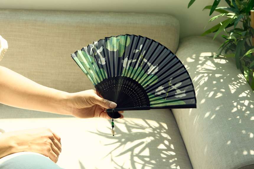 Fabric Fan (Flower and Bird Painting - Day Lily)