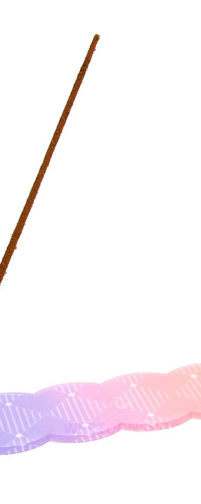[Anyway, Rofan is Right] Rofan Acrylic Incense Holder / Acrylic Goods / Webtoon Goods / Incense Stand