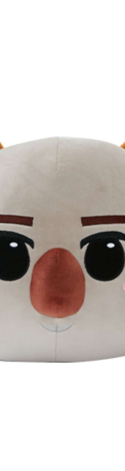 2PM ZooPM Koala Khun Cushion