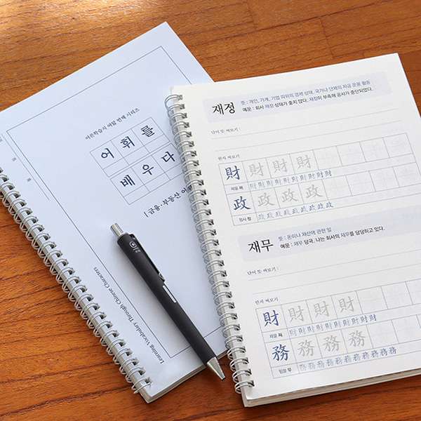 Learn Vocabulary - Finance and Real Estate Terms Through Chinese Characters Adult Workbook