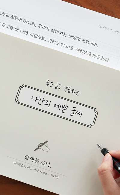Writing Practice - My Beautiful Handwriting (7 Handwriting Styles Correction Notebook) Adult Learning Series ⑥