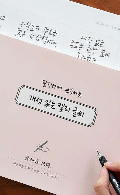 Write Your Letters - Distinctive Calligraphy Writing (7 Handwriting Styles Practice Correction Workbook) Adult Learning Book ⑥