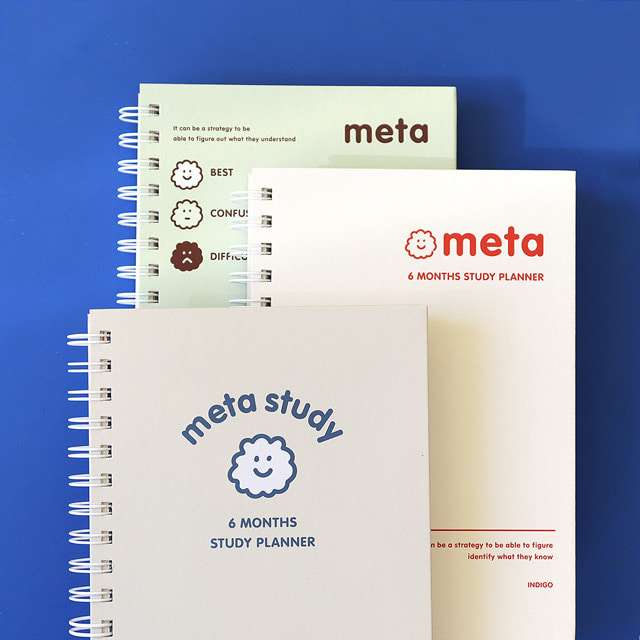 Alone Study Meta Study Planner (6-Month)