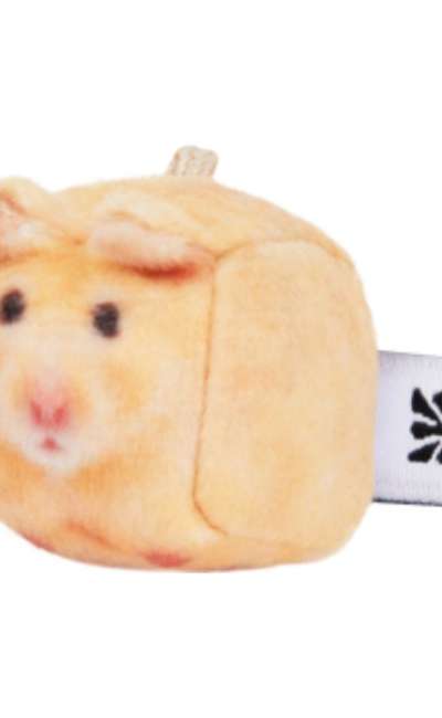 Mango, Golden Hamster