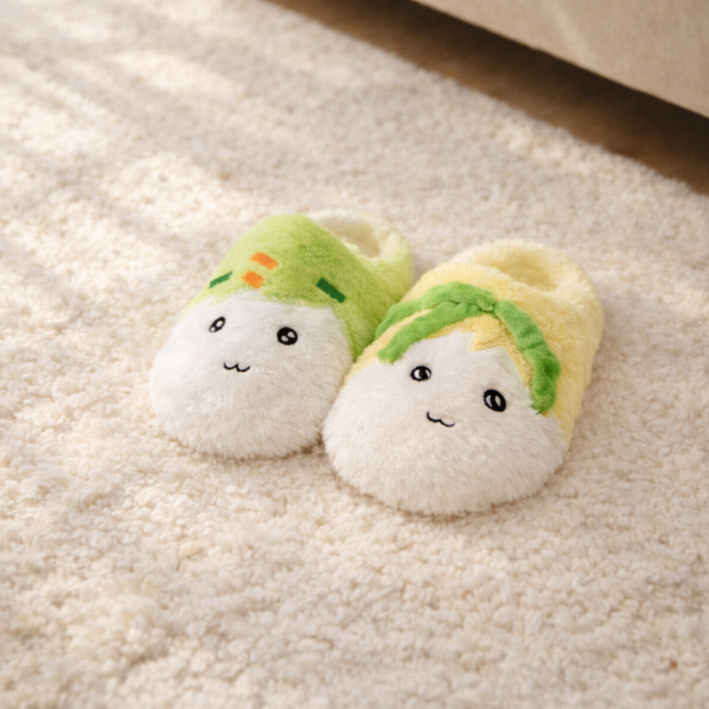 Room Slippers