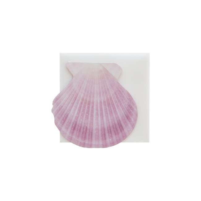 Scallop Card 3