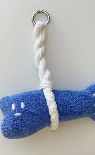 good luck fish blue